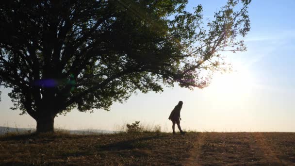 Silhouette di bella ragazza che cammina nel prato con il suo cane carino . — Video Stock