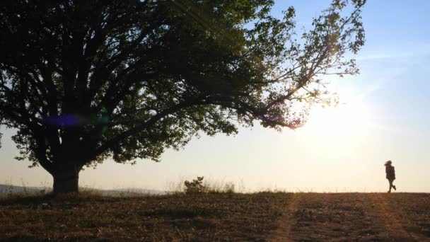 Silhuetas de mulher adorável brincando correndo com seu cachorro bonito durante o pôr do sol — Vídeo de Stock