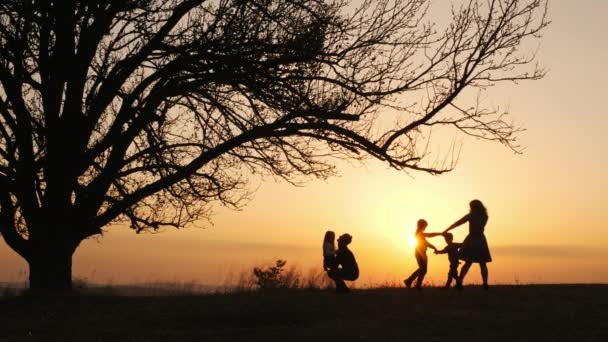 Силуэты семьи, проводящие время вместе на лугу недалеко от заката — стоковое видео