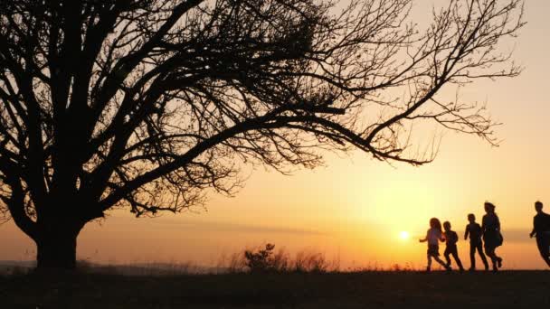 Silhouetten einer Familie, die sich an den Händen hält und bei Sonnenuntergang auf der Wiese läuft. — Stockvideo
