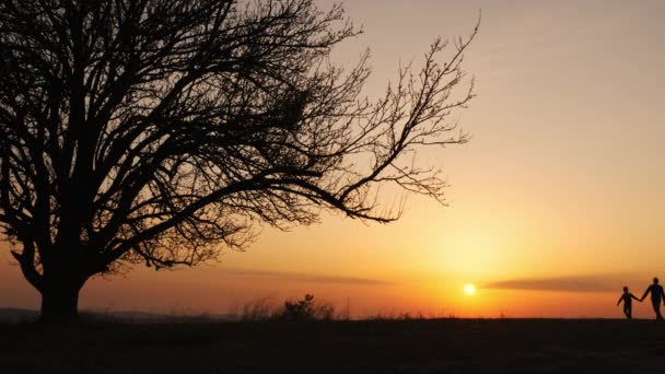 Silhouettes de famille heureuse marchant ensemble dans la prairie au coucher du soleil — Video