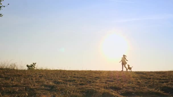 Adorable joven mujer jugando a correr con su lindo perro en la naturaleza durante la puesta del sol — Vídeo de stock