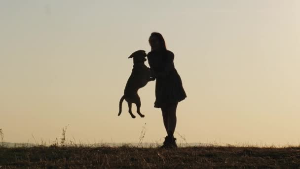 Silhouettes of adorable woman training a dog and feeding it on the nature — Stock Video