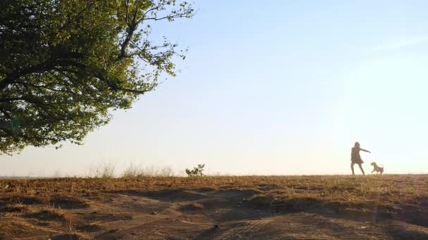 Adorável jovem mulher brincando correndo com seu cão bonito na natureza durante o pôr do sol — Vídeo de Stock