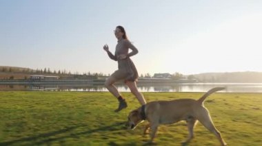 Çok güzel genç kadın Doğa Göl yakınındaki'onun sevimli köpek ile oyun çalışması.