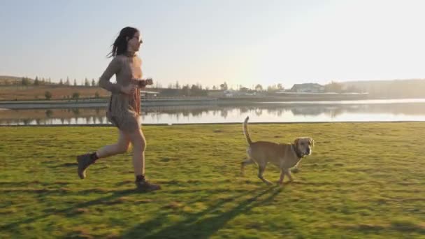 Adorável jovem mulher brincando correndo com seu cão bonito na natureza perto do lago . — Vídeo de Stock