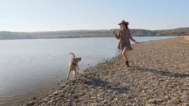 Adorável jovem mulher brincando correndo com seu cão bonito na natureza perto do lago . — Vídeo de Stock