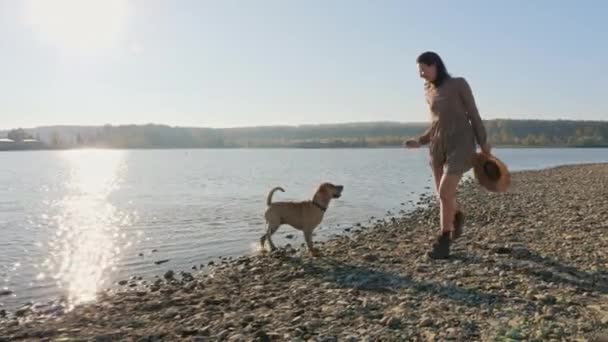 Adorable joven mujer jugando corriendo con su lindo perro en la naturaleza cerca del lago . — Vídeos de Stock