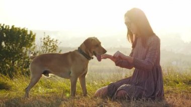Çok güzel genç kadın ile köpek niteliğine şaşırtıcı günbatımı sırasında oynamaya.