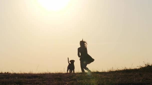 Siluetter av bedårande flicka spela kör med hennes söta hund under solnedgången — Stockvideo