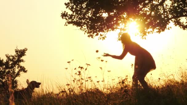 Silhouette di formazione ragazza e giocare con il suo cane carino durante il tramonto sorprendente — Video Stock