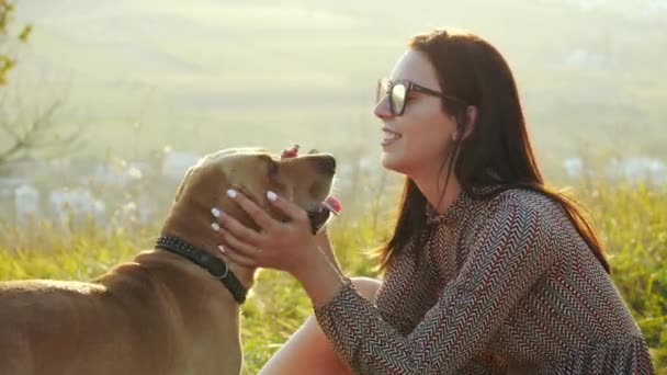 Красивая девушка в солнечных очках нежно гладит свою милую собаку — стоковое видео