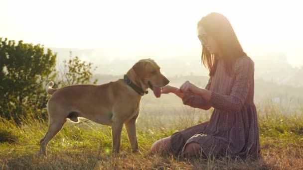 Urocza młoda kobieta z psem na charakter do odtwarzania niesamowity zachód słońca. — Wideo stockowe
