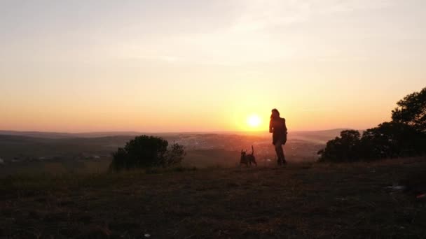 Чарівна молода жінка грає з милою собакою на природі під час заходу сонця — стокове відео