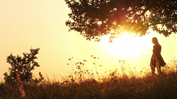 Silhuetas de menina andando no prado com seu cão durante o pôr do sol incrível — Vídeo de Stock