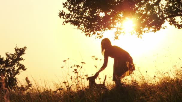 Siluetleri eğitim ve onun sevimli köpek ile şaşırtıcı günbatımı sırasında oynayan kız — Stok video