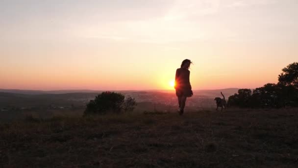 Adorabile giovane donna che gioca a correre con il suo cane carino sulla natura durante il tramonto — Video Stock