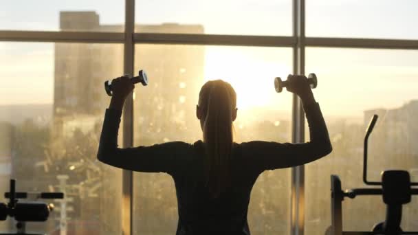 Silhouet van de vrouw middelbare leeftijd doen oefening met halters. — Stockvideo