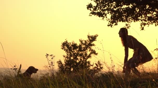 Silhouetten van meisje een bal gooien. Meisje met hond spelen. — Stockvideo