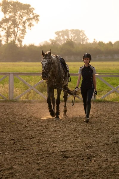 Όμορφο Κορίτσι Jockey Περίπτερο Δίπλα Στο Άλογό Του Φορώντας Ειδική — Φωτογραφία Αρχείου