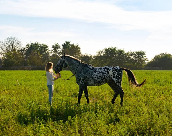 Schöne Junge Frau Mit Pferd Gegen Das Grün Des Sommerparks — Stockfoto