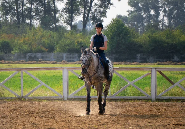 Schöne Junge Jockeyspielerin Auf Einem Pferd — Stockfoto