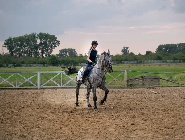 Schöne Junge Jockeyspielerin Auf Einem Pferd — Stockfoto