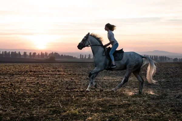 Silueta de una niña y un caballo al atardecer, corriendo por el campo — Foto de Stock