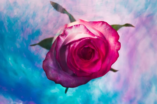 Vista Superior Pintura Difusión Colores Una Hermosa Flor Giratoria Movimiento — Foto de Stock
