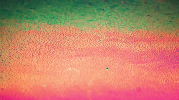 Criar fundo abstrato usando superfície móvel de padrões de bolhas coloridas — Vídeo de Stock