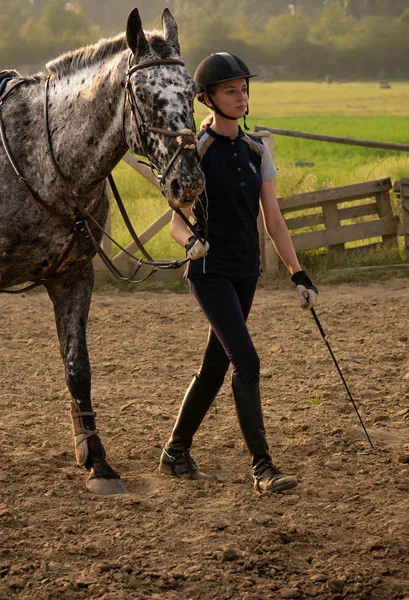 Schöne Mädchen Jockey stehen neben ihrem Pferd tragen spezielle Uniform auf einem Himmel und grünen Feld Hintergrund auf einem Sonnenuntergang — Stockfoto