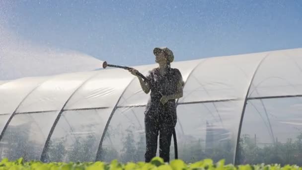 Landwirt bewässert Setzlinge. junge hübsche Bäuerin genießt ihre Arbeit beim Bewässern von Setzlingen. — Stockvideo