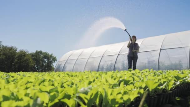 Irrigation des semis par les agriculteurs. Jeune jolie fermière enjoignant son travail lors de l'irrigation des semis . — Video