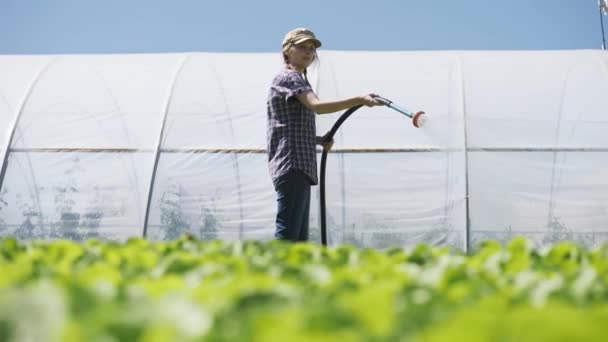 Pretty farmer irrigates green young seedlings on the field near the greenhouse — Stock Video