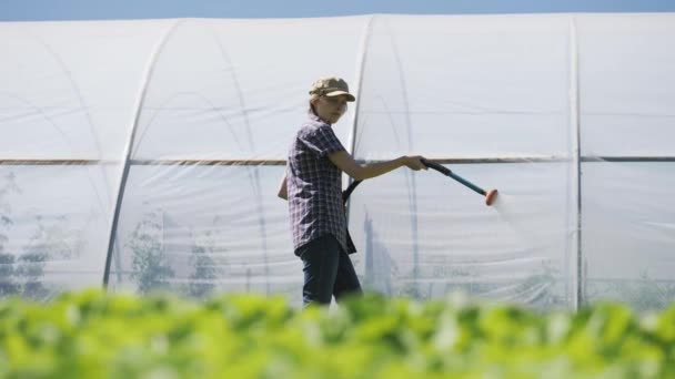 Hezká farmář zavlažuje zelené mladé sazenice na poli poblíž skleníku — Stock video