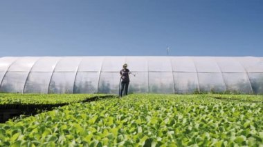 Güzel çiftçi sera yakınındaki sahada yeşil genç fidan irrigates