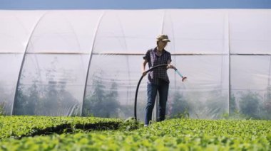 Güzel çiftçi sera yakınındaki sahada yeşil genç fidan irrigates