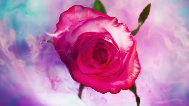 Rengarenk, dönen güzel bir çiçeğe yayılan boyanın en üst görüntüsü.. — Stok video