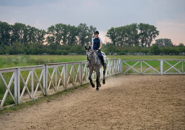 Junge Jockeyspielerin auf einem Pferd im Freien. Sportlerin reitet Pferd auf offener Manege — Stockfoto