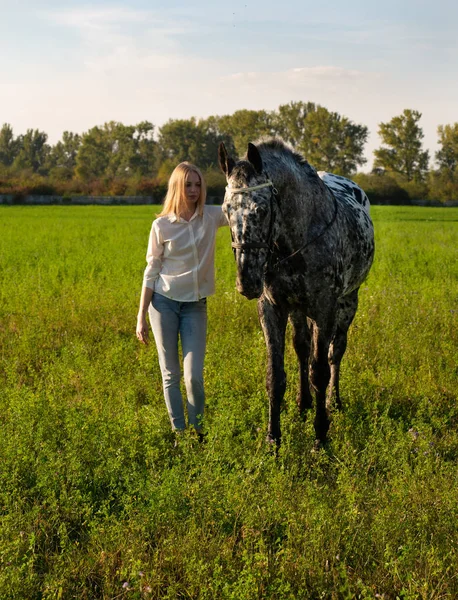 Schöne junge Frau mit Pferd auf einer grünen Sommerwiese. — Stockfoto