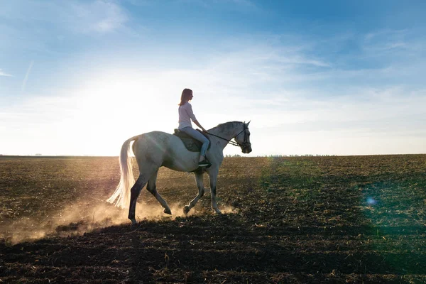 Junges blondes Mädchen reitet bei Sonnenuntergang auf einem Pferd auf dem Feld — Stockfoto