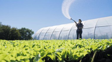 Güzel çiftçi sera yakınındaki sahada yeşil genç fidan irrigates