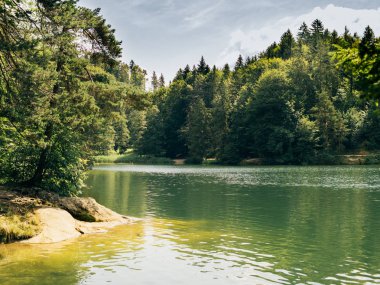 Alpler'in arka planında dağ gölü