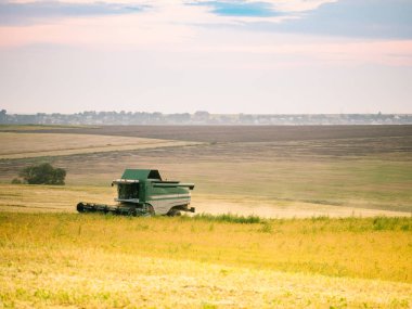 tarladan hasat hasat