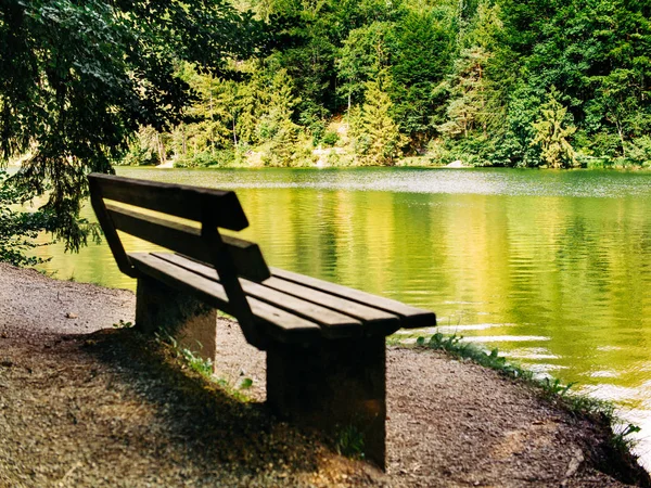 Pitoresk dağ gölü yakınında Bench