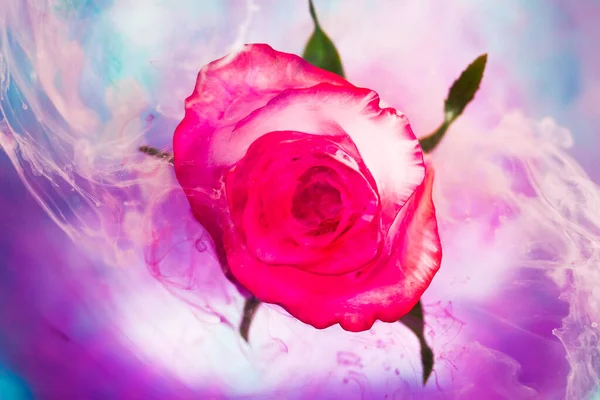 Vista superior de la pintura de difusión de colores en una hermosa flor giratoria. — Foto de Stock