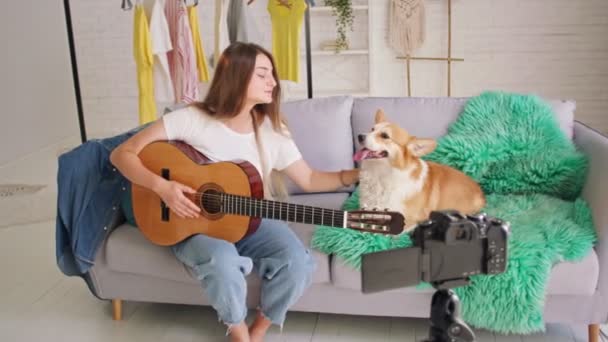 Atractiva chica adolescente Vlogging durante el juego en una guitarra. Chica joven acariciando a un perro lindo mientras le dispara Videoblog. Joven Conducta Enseñanza Remota para Tocar en una Guitarra Durante el Blogging. — Vídeo de stock