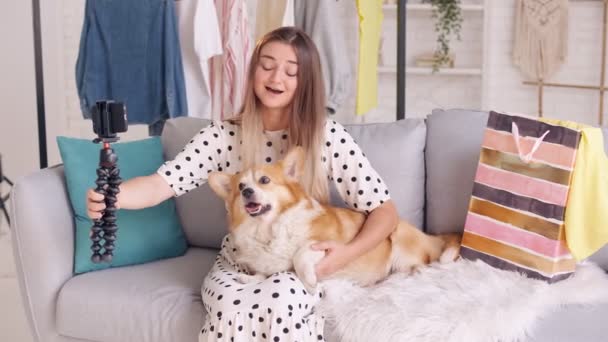 Una chica Vlogging sobre los animales y el amor por su perro. A Girl in a Dress Takes Pictures of Her self, Conducts a Blogging (en inglés). Un bloguero de belleza creando un nuevo contenido para Video Blog. — Vídeo de stock