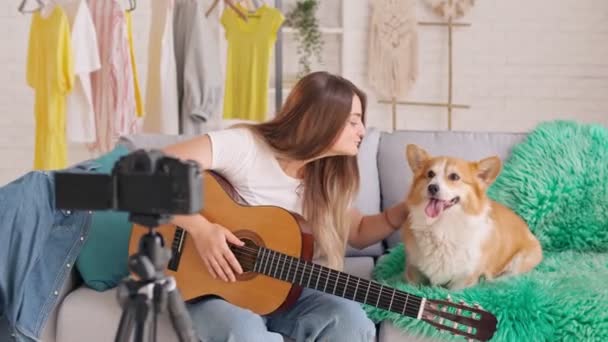 Gitarda Çalarken Çekici Genç Kız Vloglama. Videosunu Çekerken Sevimli Bir Köpeği Okşayan Genç Kız. Genç Kız Uzaktan Kumanda Blog Yazarken Gitar Çalmayı Öğretiyor. — Stok video