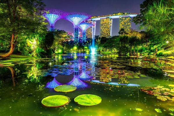 Jardins près de la baie nuit — Photo